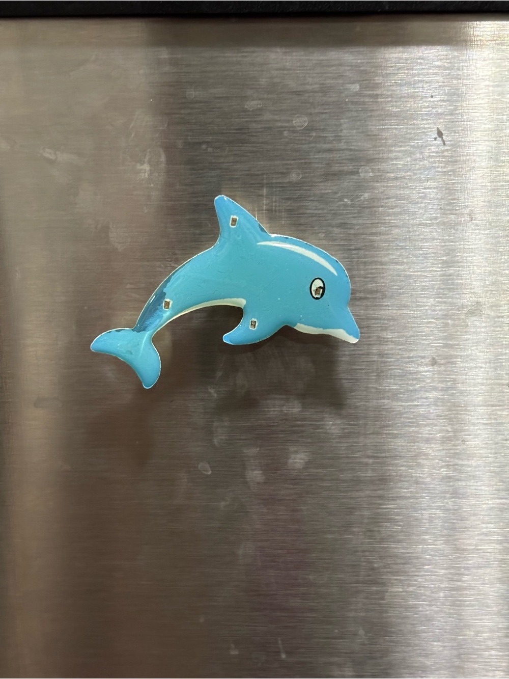 Blue Dolphin magnet or pendent Accessory